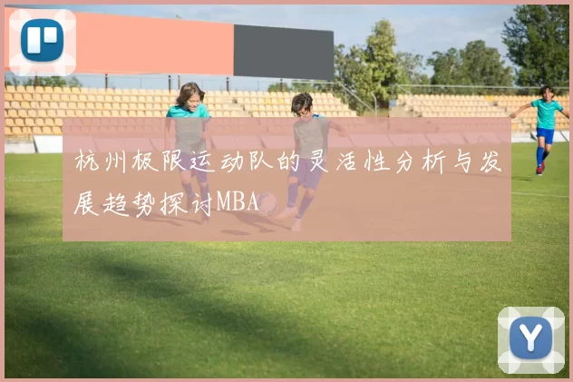 杭州极限运动队的灵活性分析与发展趋势探讨MBA